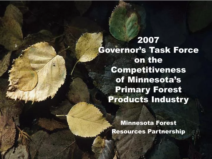2007 governor s task force on the competitiveness of minnesota s primary forest products industry