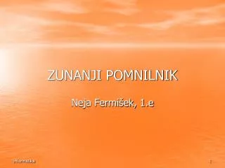 zunanji pomnilnik