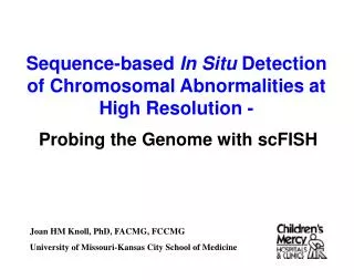 Probing the Genome with scFISH