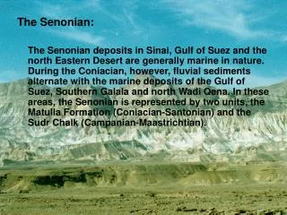 The Senonian:
