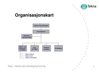 organisasjonskart
