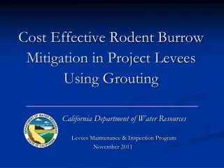 Cost Effective Rodent Burrow Mitigation in Project Levees Using Grouting