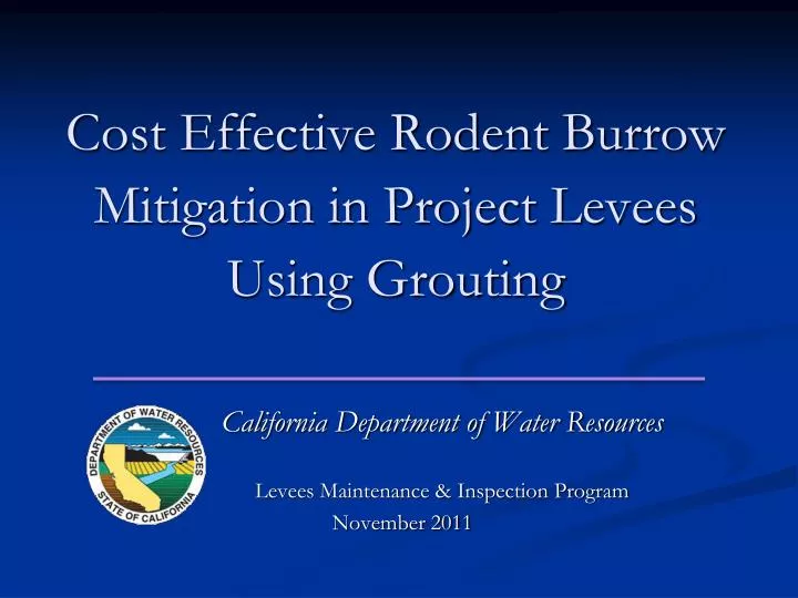 cost effective rodent burrow mitigation in project levees using grouting