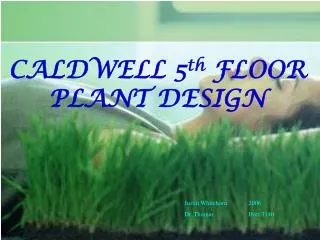 CALDWELL 5 th FLOOR PLANT DESIGN