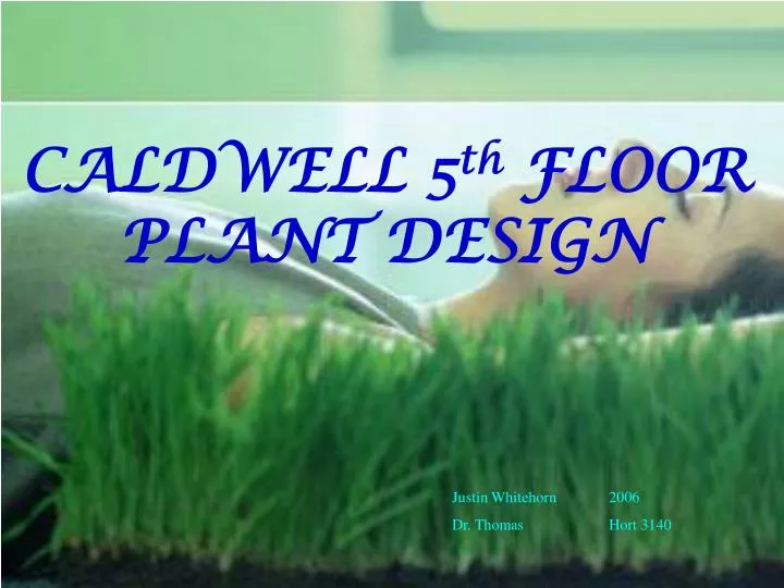 caldwell 5 th floor plant design