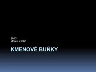 2013 marek v cha