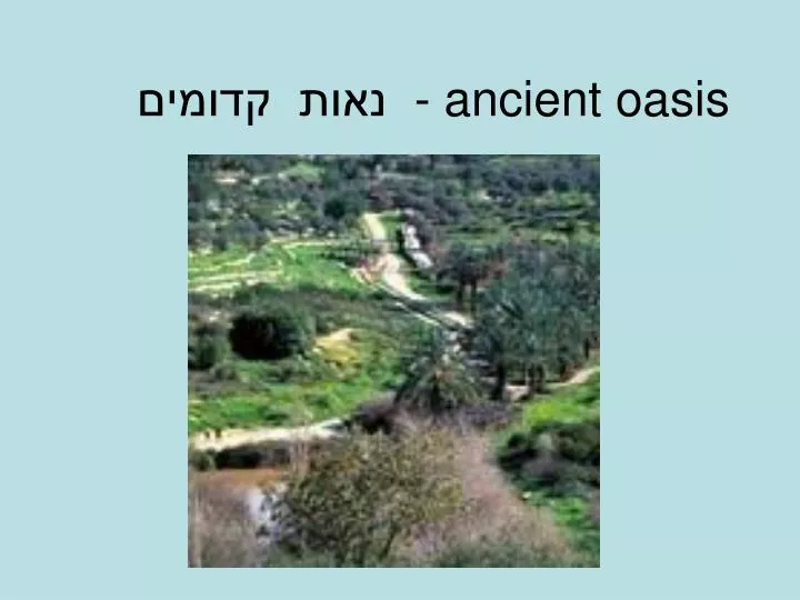 ancient oasis