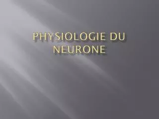 physiologie du neurone