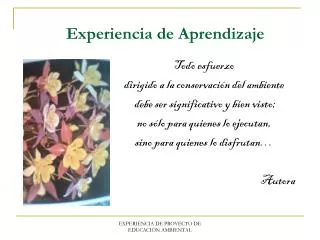 experiencia de aprendizaje