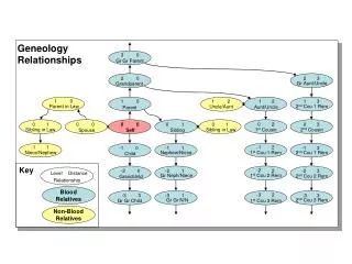 Geneology Relationships