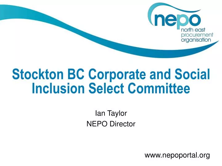 stockton bc corporate and social inclusion select committee