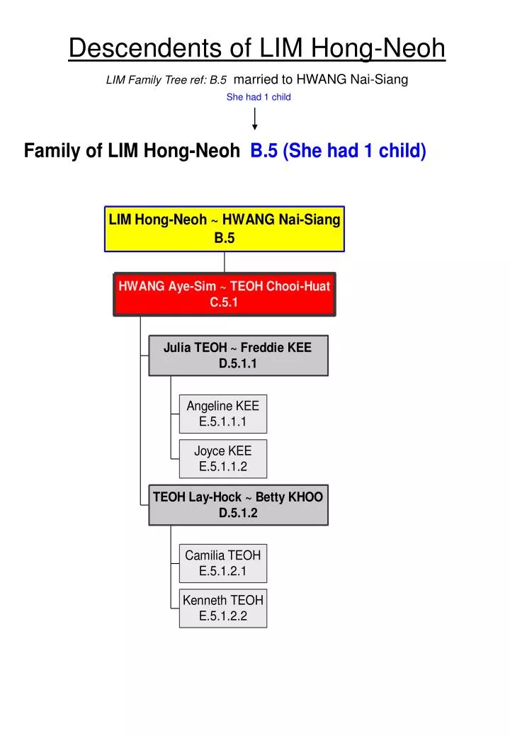 descendents of lim hong neoh lim family tree ref b 5 married to hwang nai siang she had 1 child