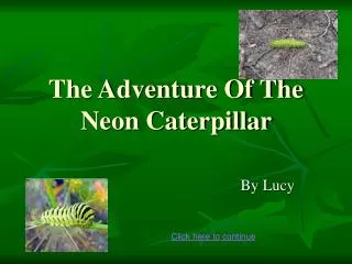 The Adventure Of The Neon Caterpillar