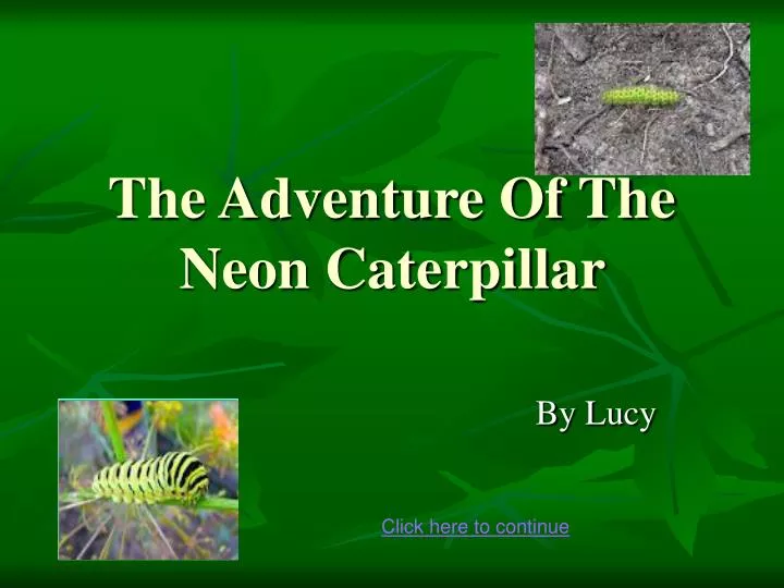 the adventure of the neon caterpillar