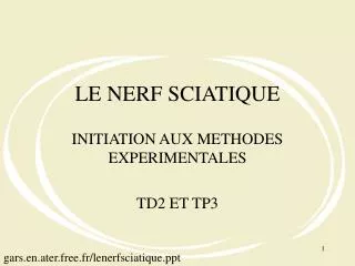 le nerf sciatique