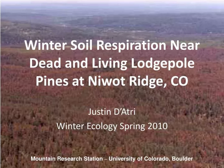 winter soil respiration near dead and living lodgepole pines at niwot ridge co
