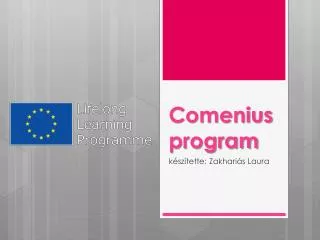 comenius program