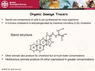 Organic Sewage Tracers