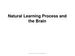 Natural Learning Process and the Brain - slide 1