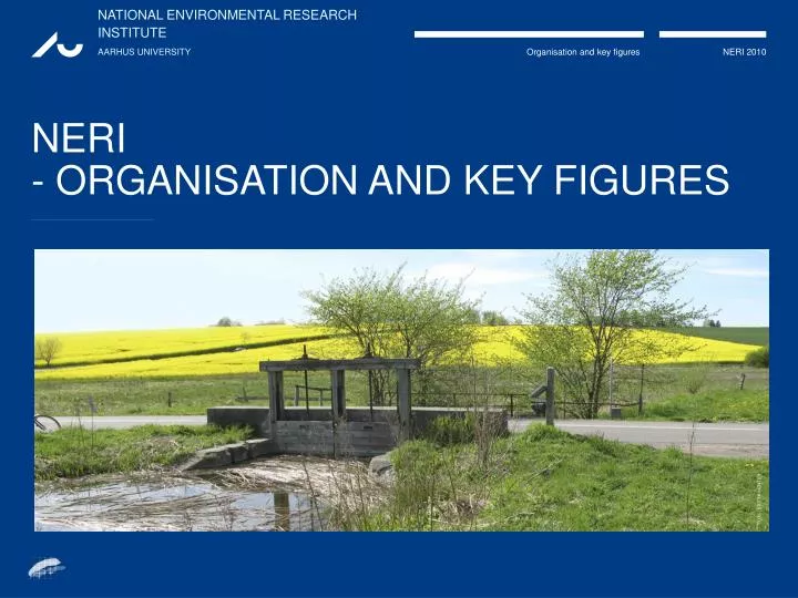 neri organisation and key figures