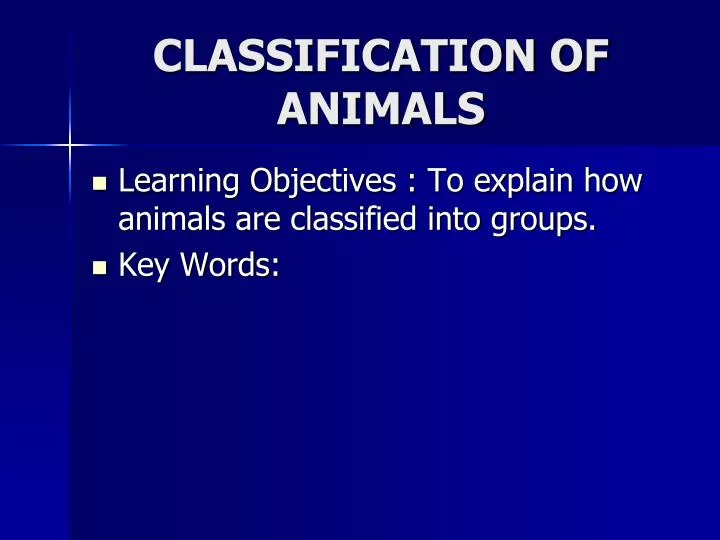classification of animals