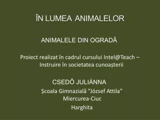 n lumea animalelor
