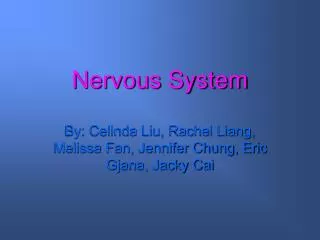 nervous system