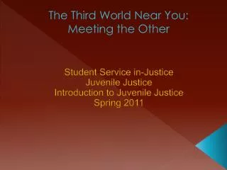 The Third World Near You: Meeting the Other