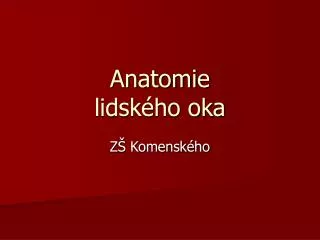 anatomie lidsk ho oka