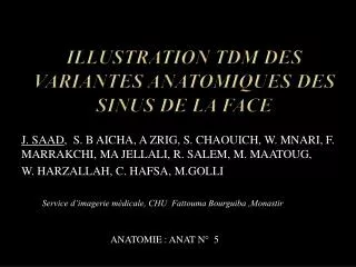 illustration tdm des variantes anatomiques des sinus de la face