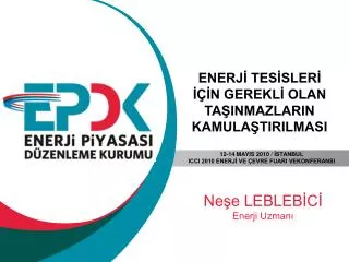 ne e lebleb c enerji uzman