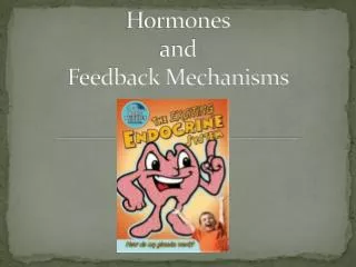 Hormones and Feedback Mechanisms