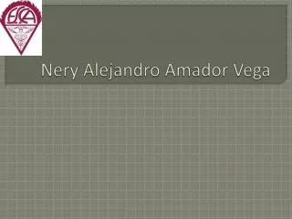nery alejandro amador vega