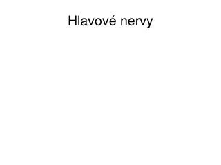 hlavov nervy