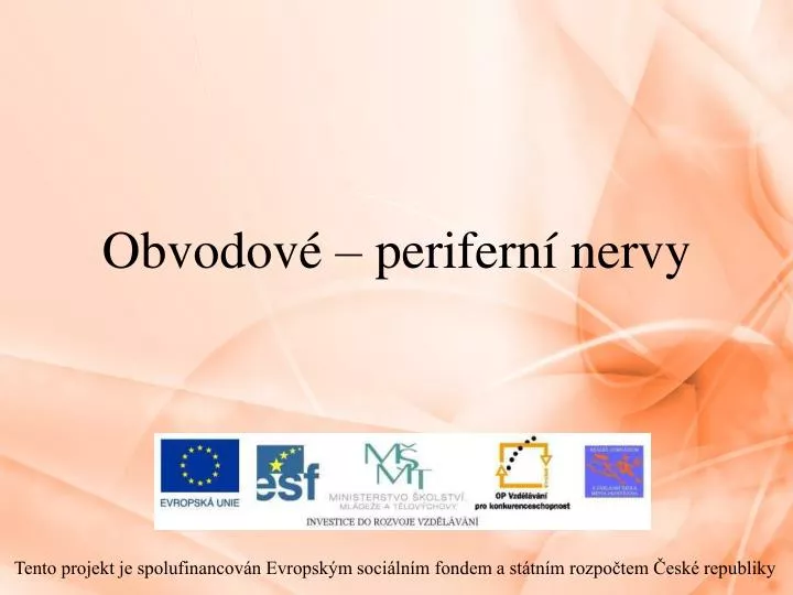 obvodov perifern nervy