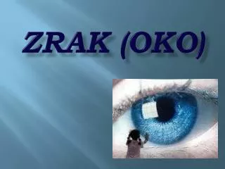 zrak oko