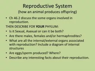Reproductive System (how an animal produces offspring)