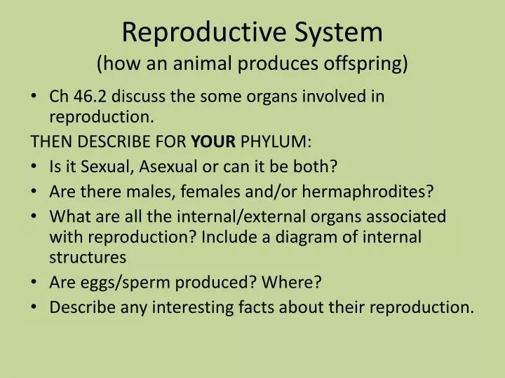 reproductive system how an animal produces offspring