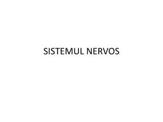 sistemul nervos