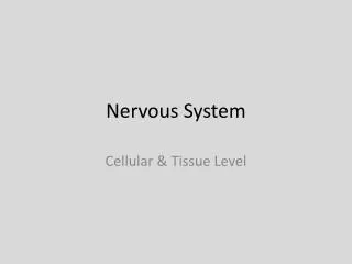 Nervous System