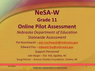 NeSA-W Grade 11 Online Pilot Assessment