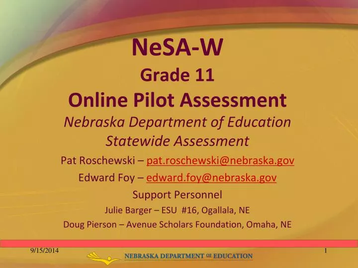 nesa w grade 11 online pilot assessment