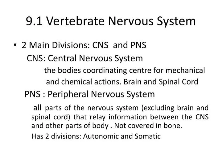 9 1 vertebrate nervous system
