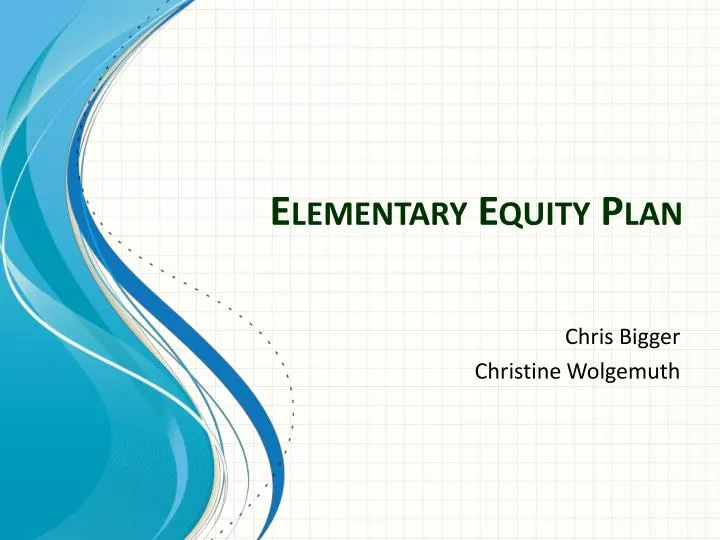 elementary equity plan