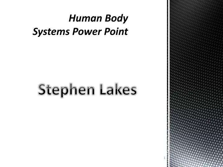 human body systems power point