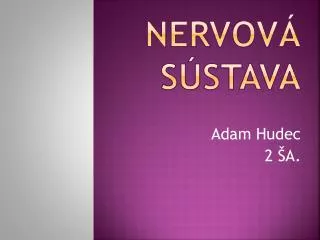 nervov s stava