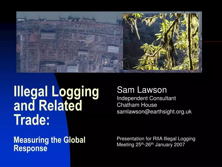 illegal logging and related trade measuring the global response