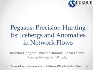 Pegasus: Precision Hunting for Icebergs and Anomalies in Network Flows