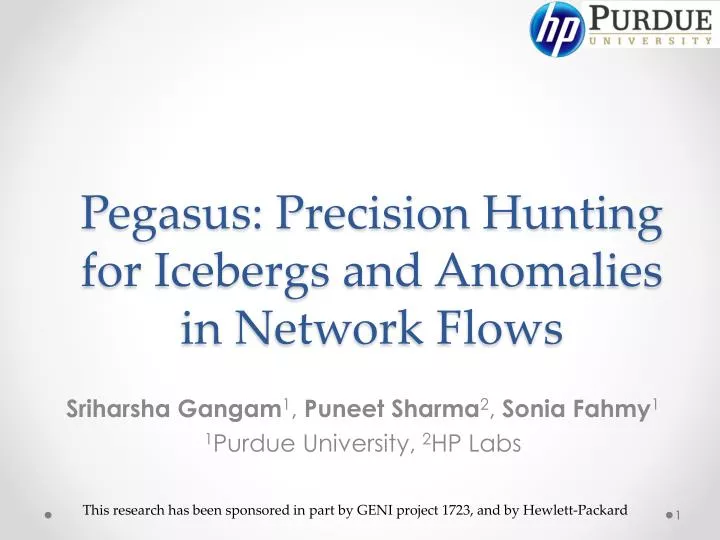 pegasus precision hunting for icebergs and anomalies in network flows