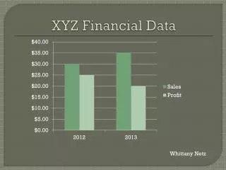 XYZ Financial Data